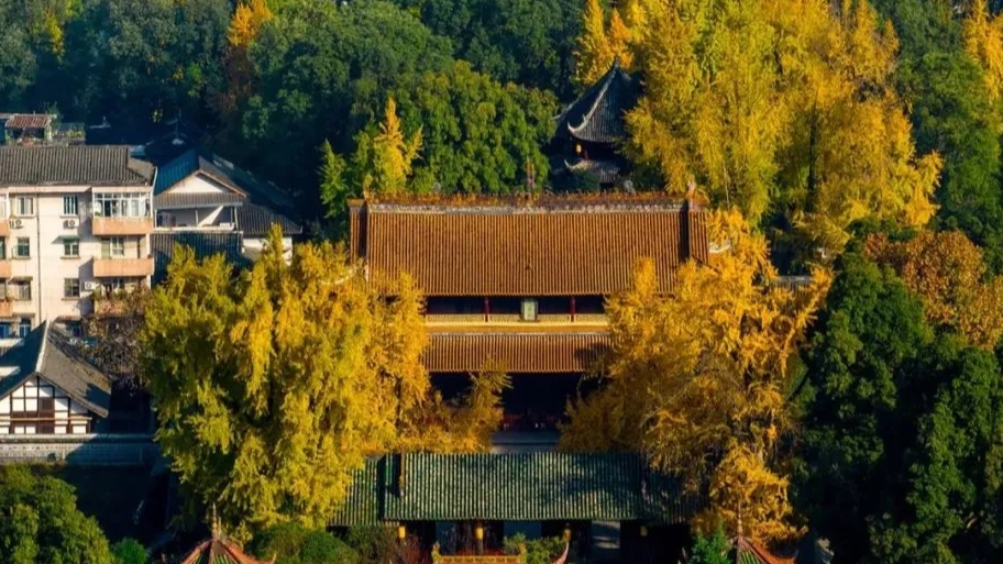 首个秋假怎么耍？不妨来一场从从容容、游刃有余的成都周边游~