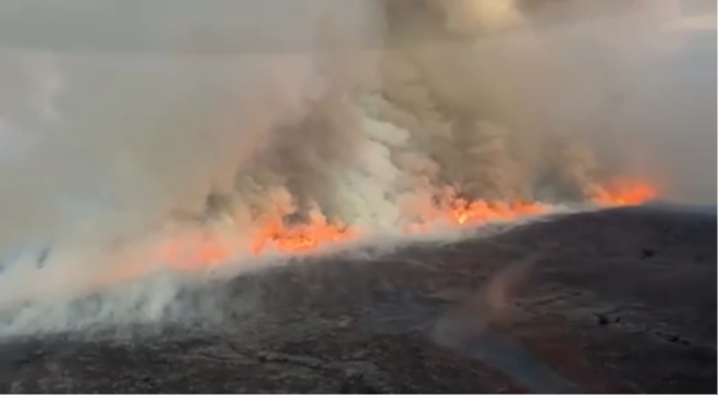 新西兰国家公园林火肆虐 过火面积超过千顷