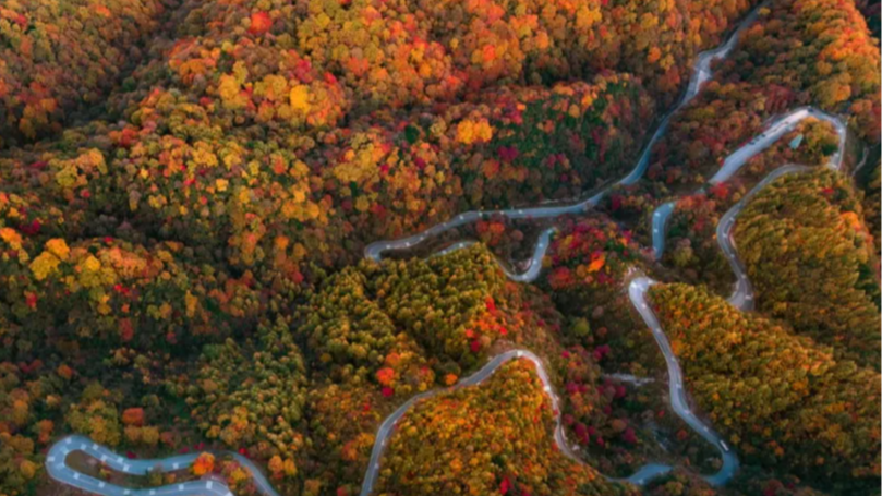 亚洲最大红叶区的限定浪漫，我们找到了！