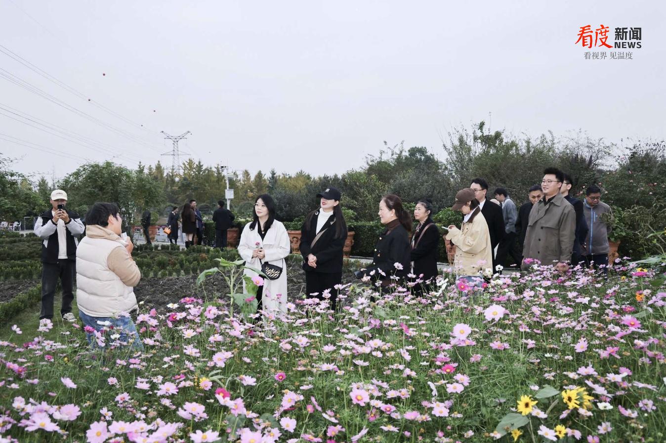 405809529f3f4c209ed7f9d412a6bfa5.png 405809529f3f4c209ed7f9d412a6bfa5.png