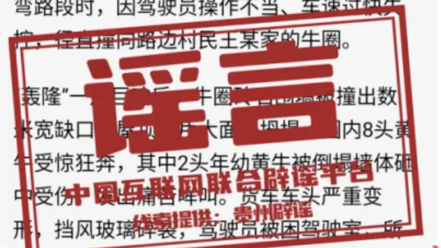 多人因编造谣言被处罚——今日辟谣（2025年11月17日）