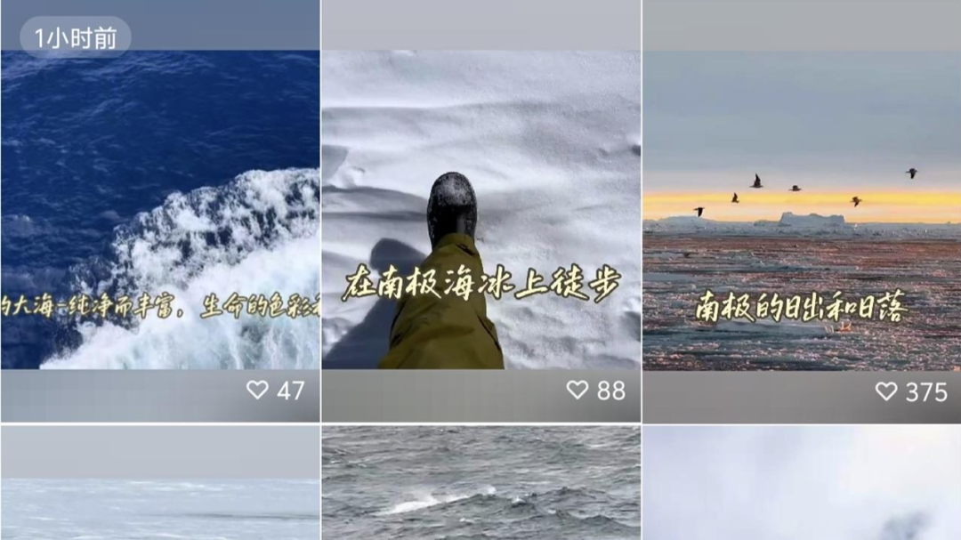 遭员工吐槽后 俞敏洪连发10条南极游视频 其乘坐邮轮入住价最高148万