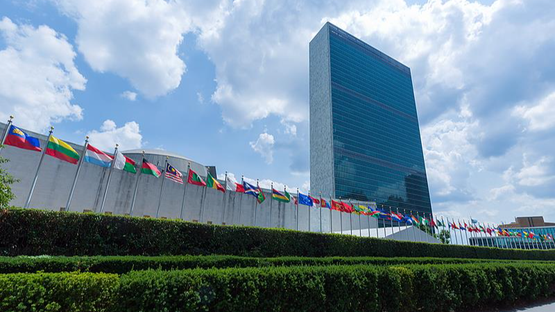 中国女法官张玲玲当选联合国上诉法庭法官