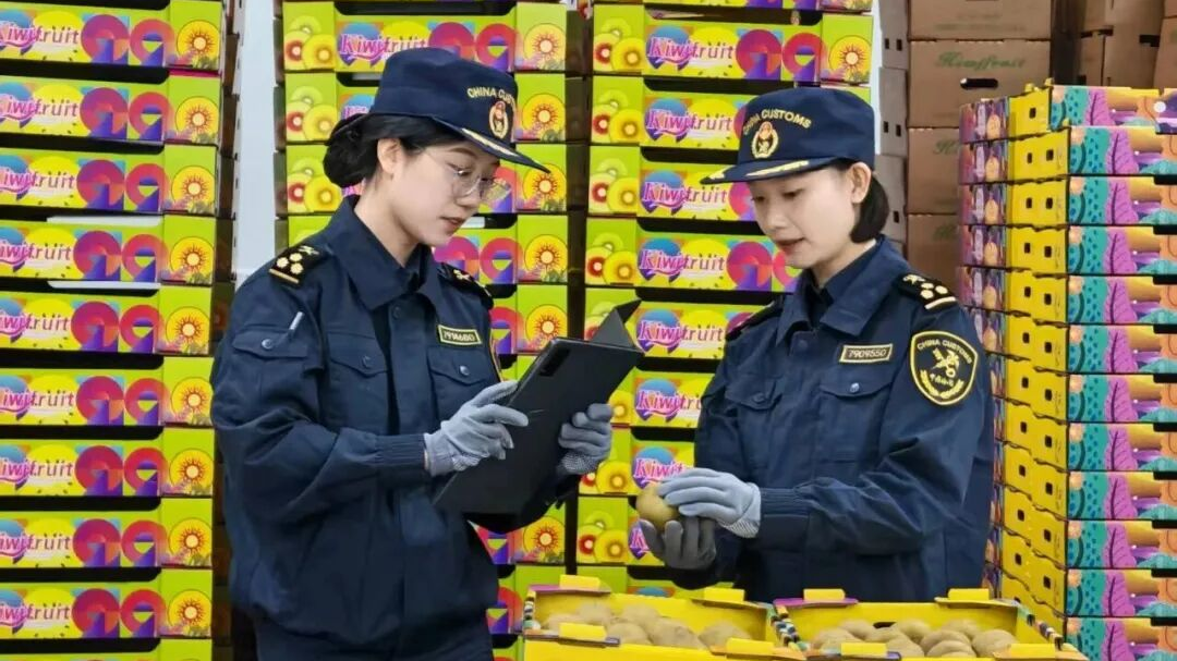 前10月四川外贸总额达8493.5亿元 规模创历史同期新高