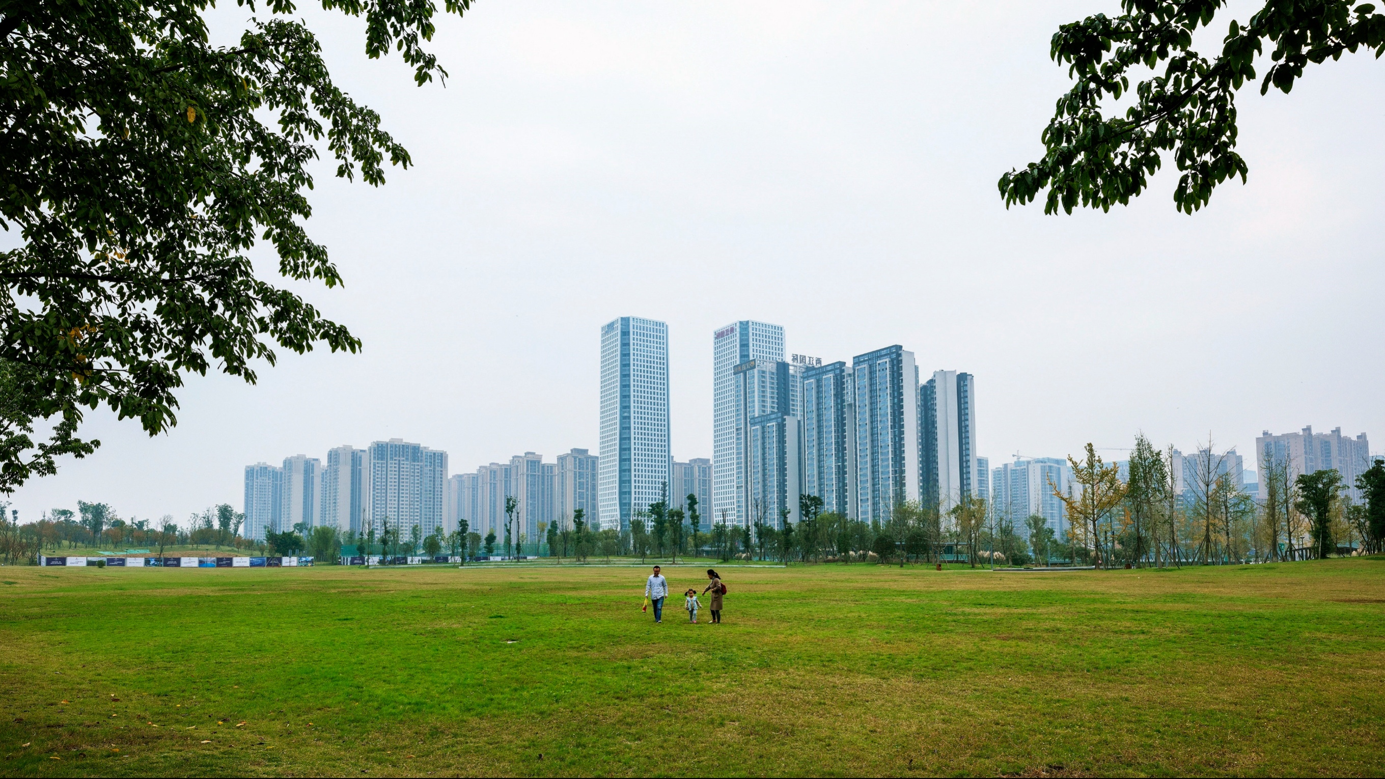 视频｜城镇化率提高至80.8%、推窗见绿成日常…成都交出城市建设亮眼答卷
