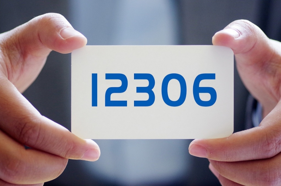 12306回应列车停站292分钟：售票信息已公示