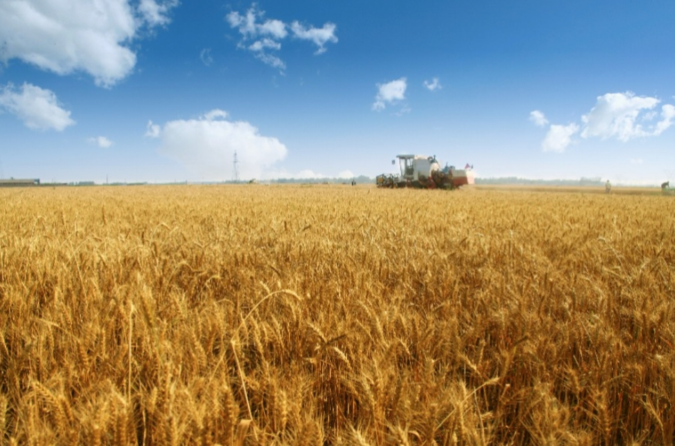 456亿元！中央财政提前下达2026年农业保险保费补贴预算