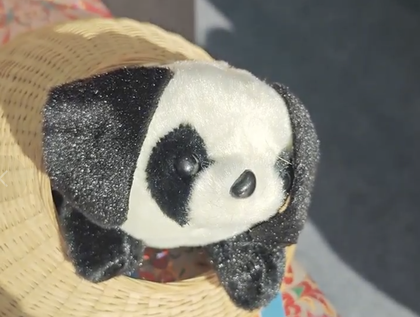 视频｜百款熊猫潮玩新品亮相成都，2025年全球熊猫伙伴大会来了！