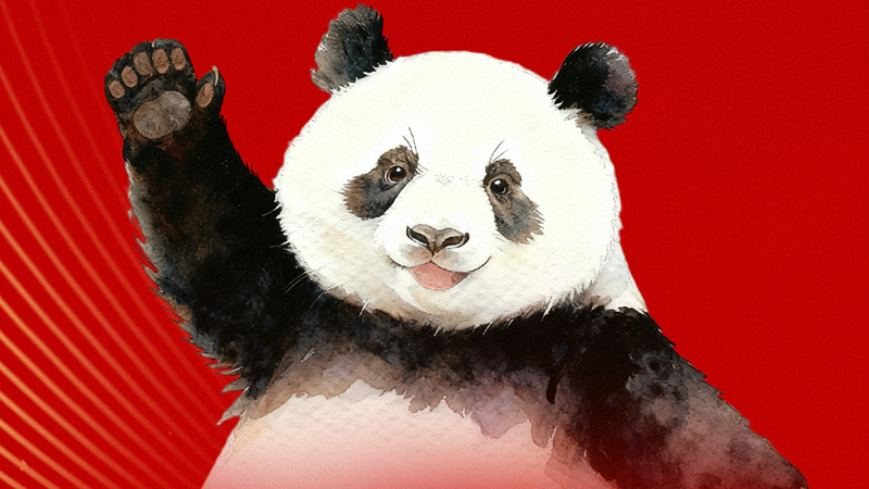 2025全球熊猫伙伴大会今日开幕