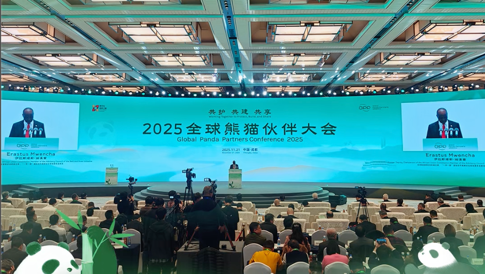 熊猫伙伴再聚蓉城！2025全球熊猫伙伴大会在成都开幕