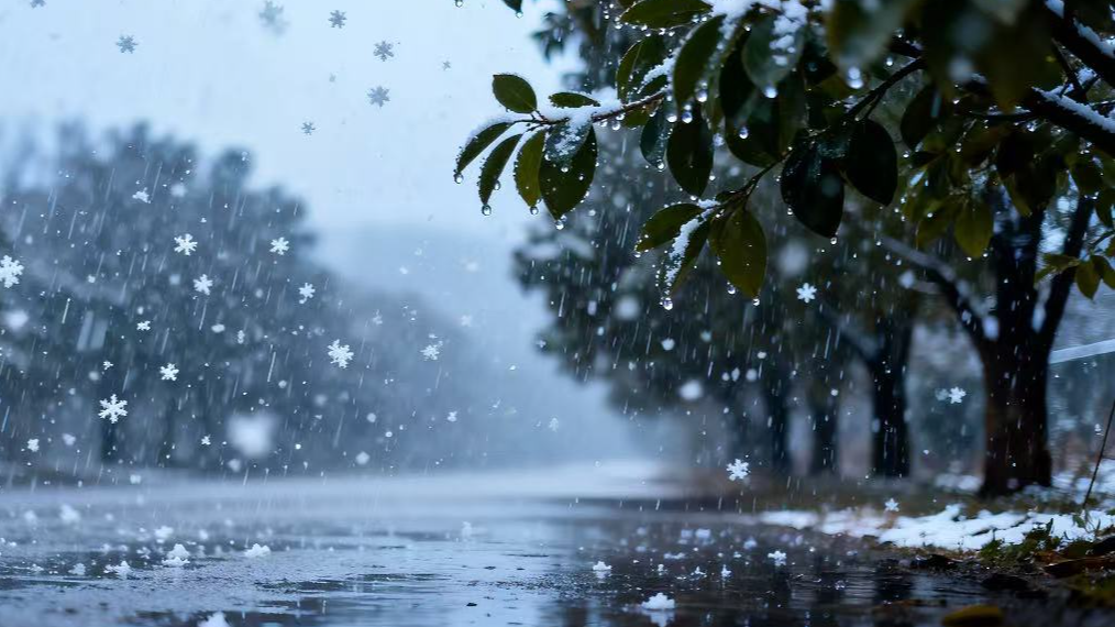 周末我国大部降水稀少气温偏高 未来三天四川局地多雨雪天气