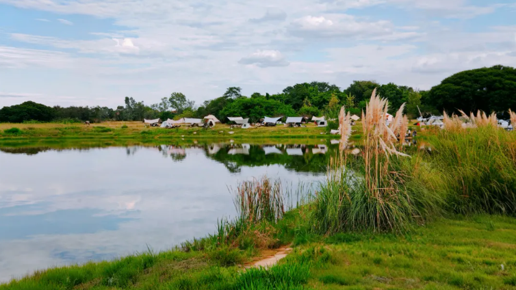 邂逅限定暖阳！成都公交直达的冬日露营宝藏地图来啦
