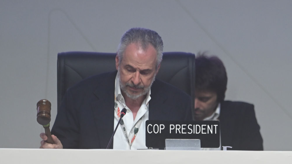 COP30凝聚全球共识 应对气候变化迈入新阶段