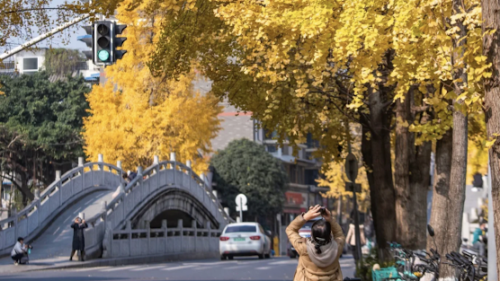 时评｜落叶缓扫，留下可见风景，守住可感温度