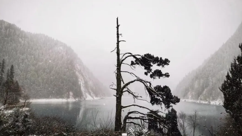 九寨沟发布公告：严禁一切非法穿越行为