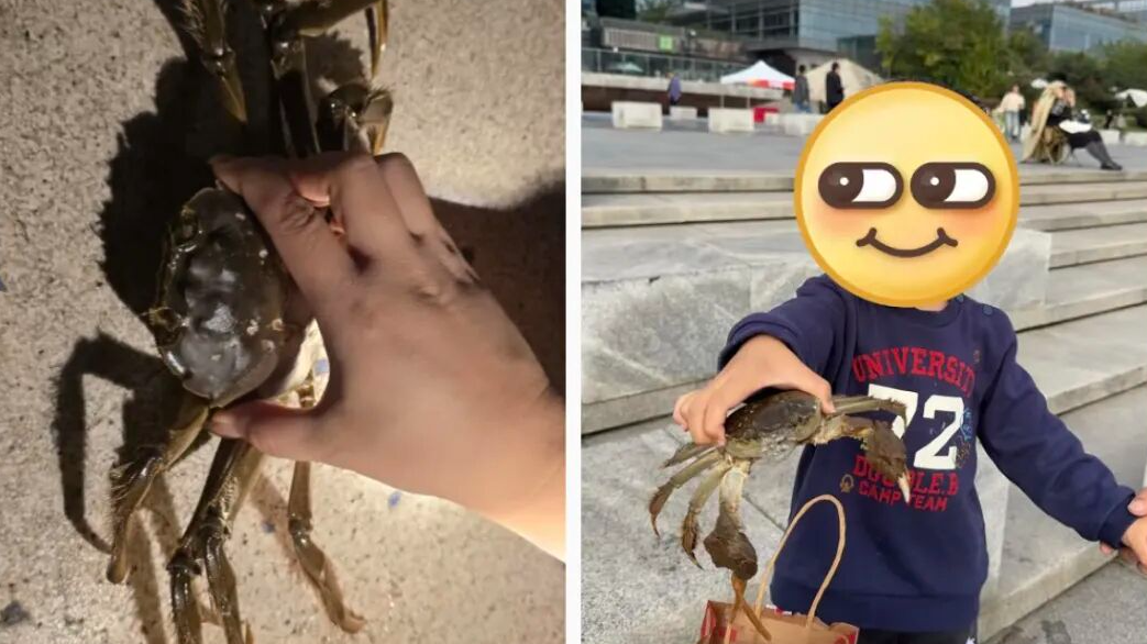 兴隆湖可以钓鱼、抓大闸蟹吗？回复来了