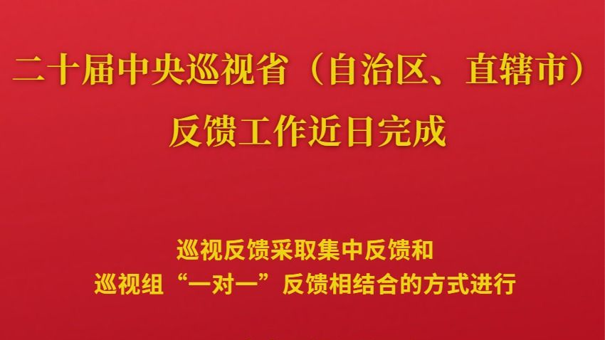 二十届中央巡视省（自治区、直辖市）完成反馈