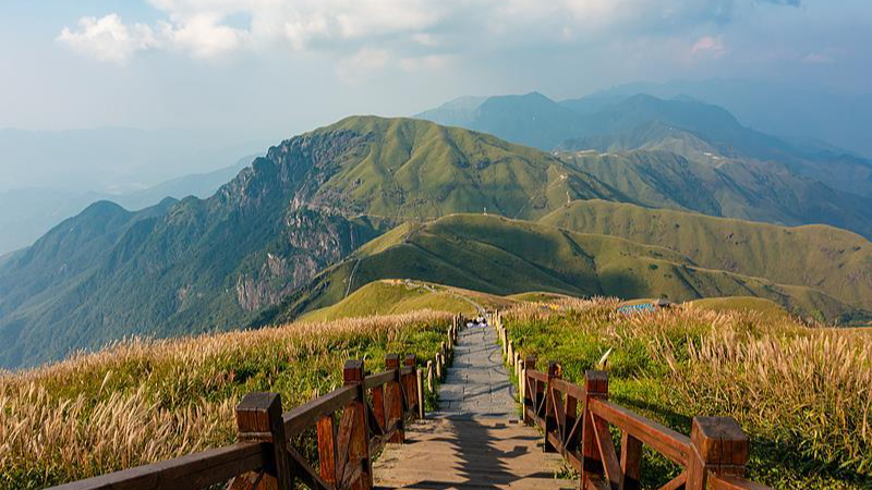 多地宣布免费、半价 别错过这些错峰旅游福利
