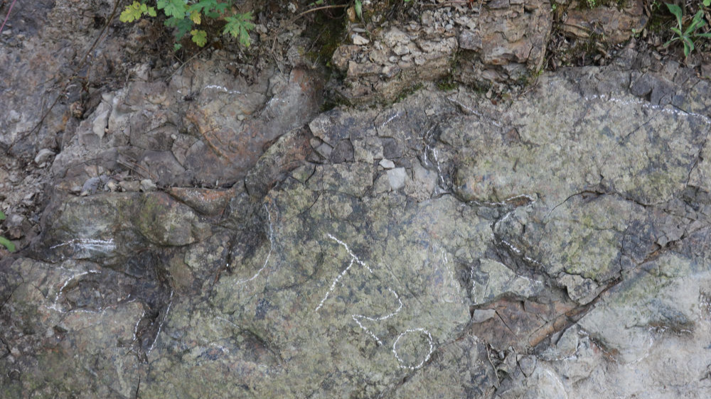 四川都江堰首次发现2亿年前恐龙踩下的“时光脚印”