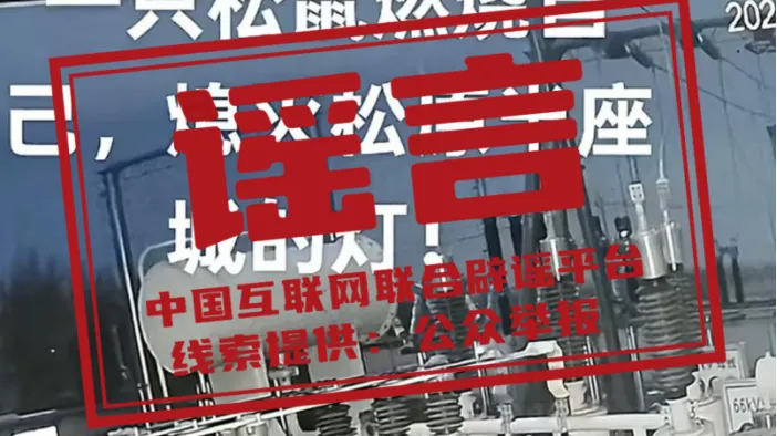 一只松鼠导致吉林松原“半城”停电？——今日辟谣（2025年12月8日）