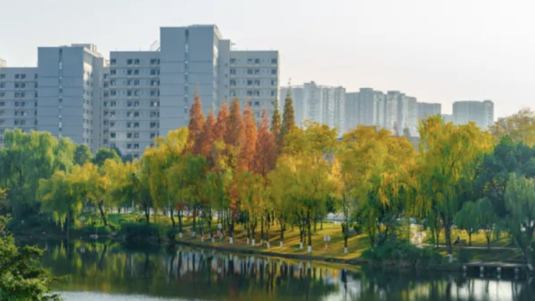 “校名被擅用”？西南交通大学发布声明！