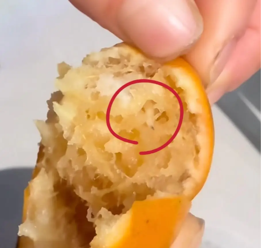 1765333865103.png 1765333865103.png