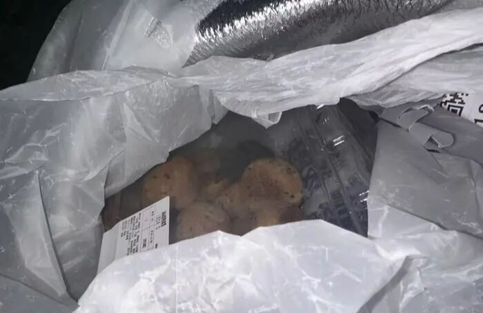 1765331610070.png 1765331610070.png