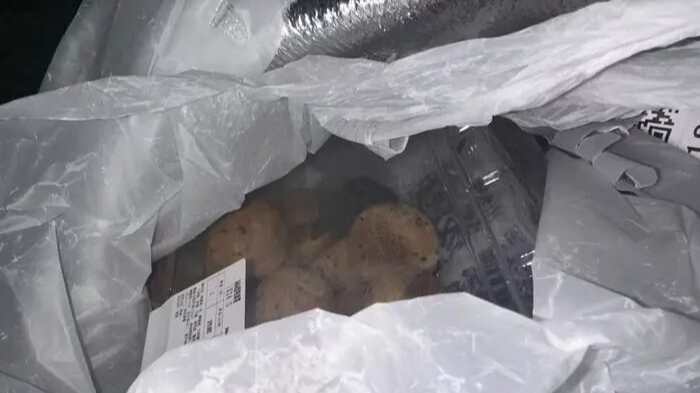 麻薯盒中发现活鼠，山姆回应：疑在取货点侵入