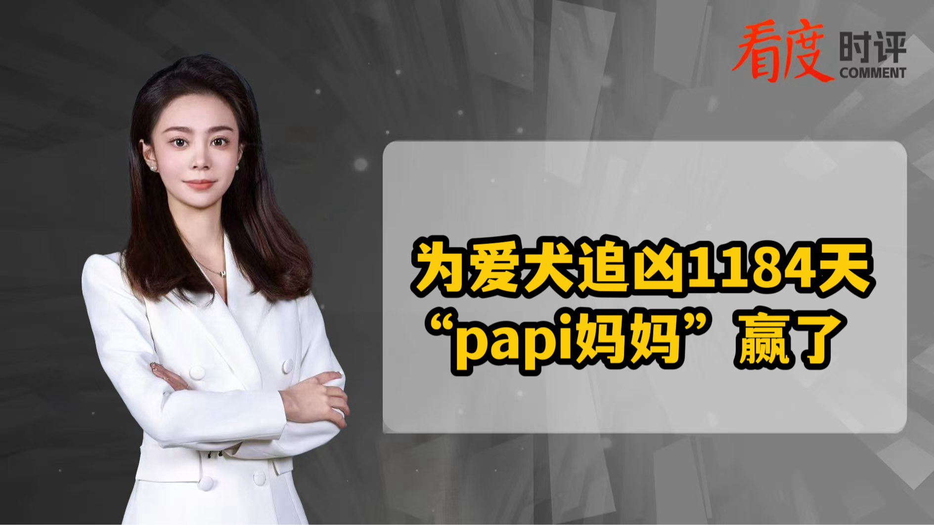 时评｜为爱犬追凶1184天 “papi妈妈”赢了