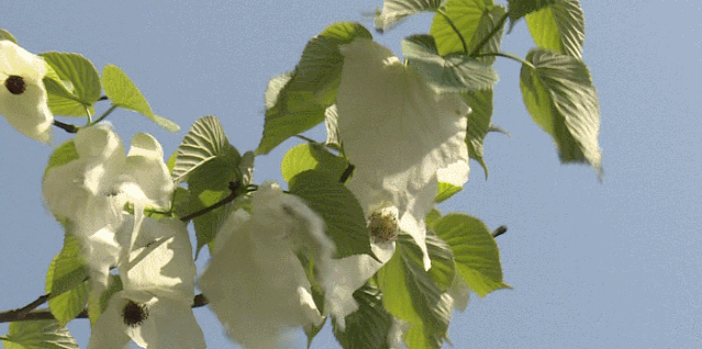 ab00b699-ec71-4b74-85bb-da8abeda7128