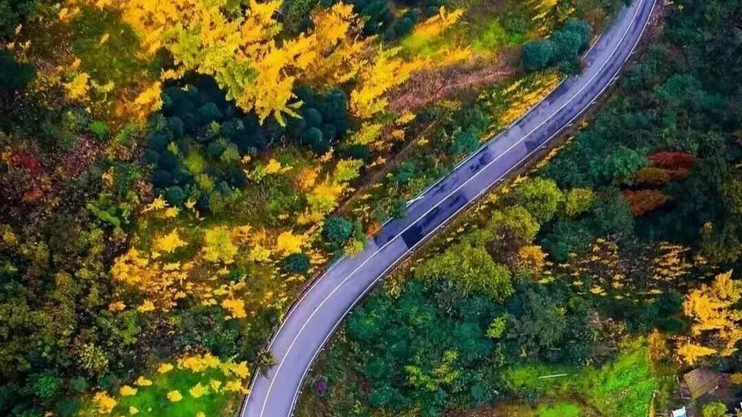 成都最美乡村公路，今年冬天必须走一趟！