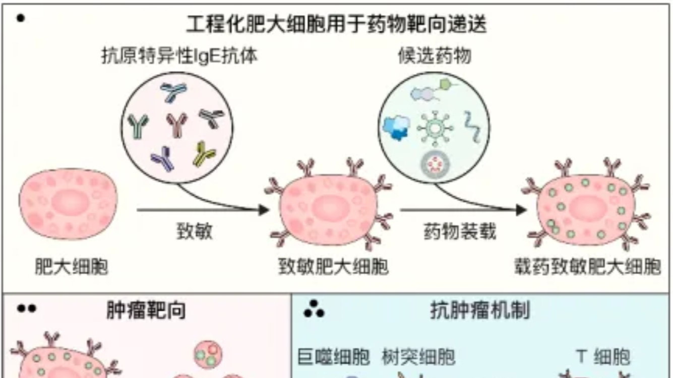 中国科学家，发现抗癌“新利器”！
