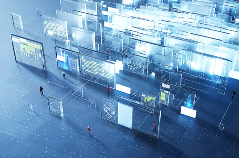 劣迹网红“东北雨姐”“秀才”“猫一杯”变相复出被查处