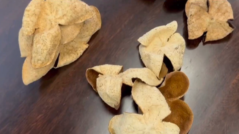 广西浦北通报“速成工艺陈皮”情况：将严格依法处理涉事经营主体