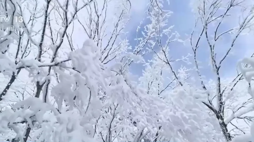 我国已经进入拉尼娜状态