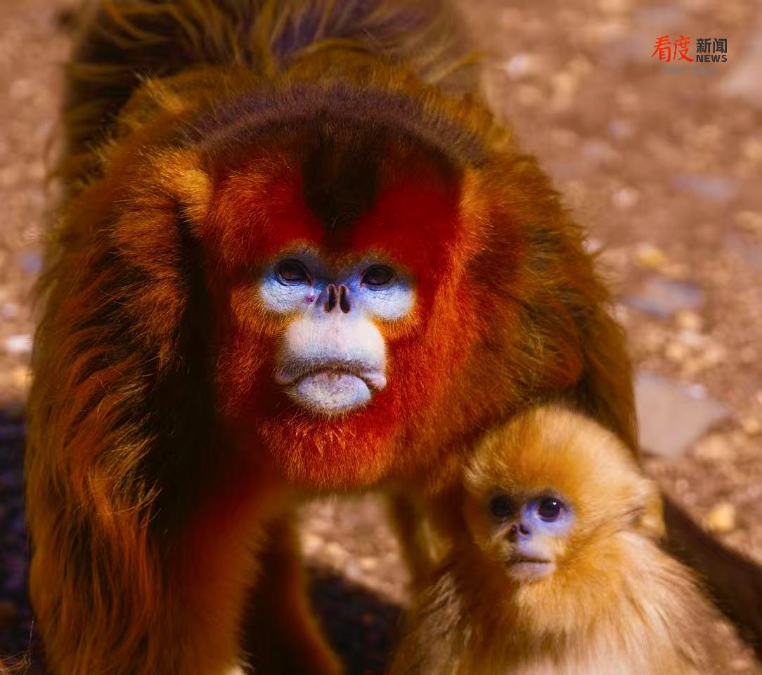 955e5b6632e14ef9a914f6228f9eeaac.png 955e5b6632e14ef9a914f6228f9eeaac.png