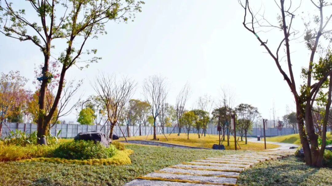 成都多个公园陆续上新，快看看在你家附近吗？