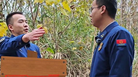 视频 | 元旦登山遇上防火期，三点安全提醒请收好