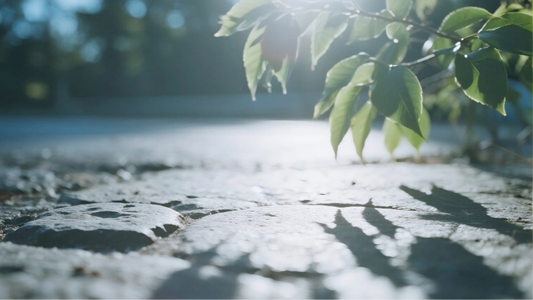 2025年全国平均气温再创历史新高