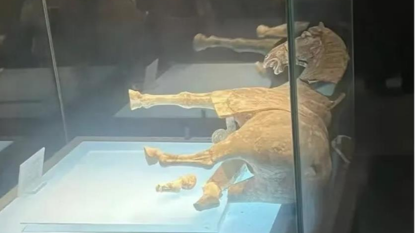 洛博回应“彩绘抬腿陶马”倾倒：原始修复部位粘接剂老化开裂