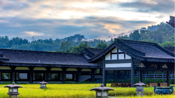 峨眉山全山寺院1月1日起永久免费开放