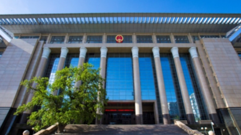 最高法发布“家庭教育指导令”司法适用典型案例