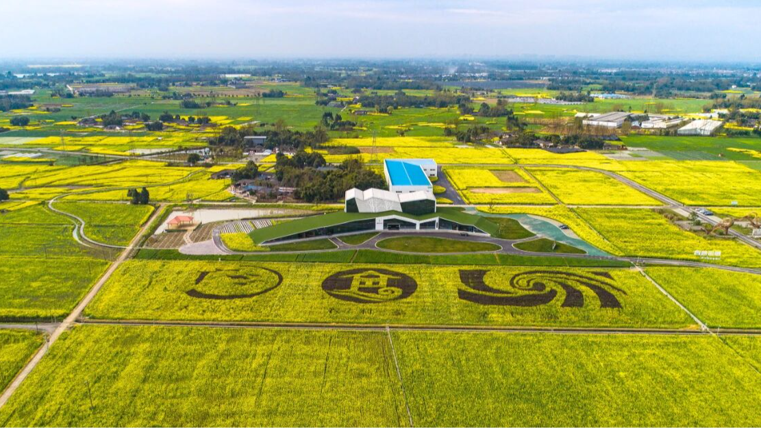 2025年国家乡村振兴示范县创建名单公示 成都大邑县上榜