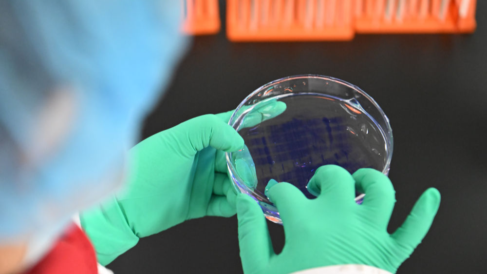 用药利好事关你我！国家医保药品“清单”一览