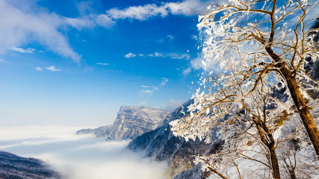 成都⇌巴中快巴仅需69元，冬天看雪就坐这条线！