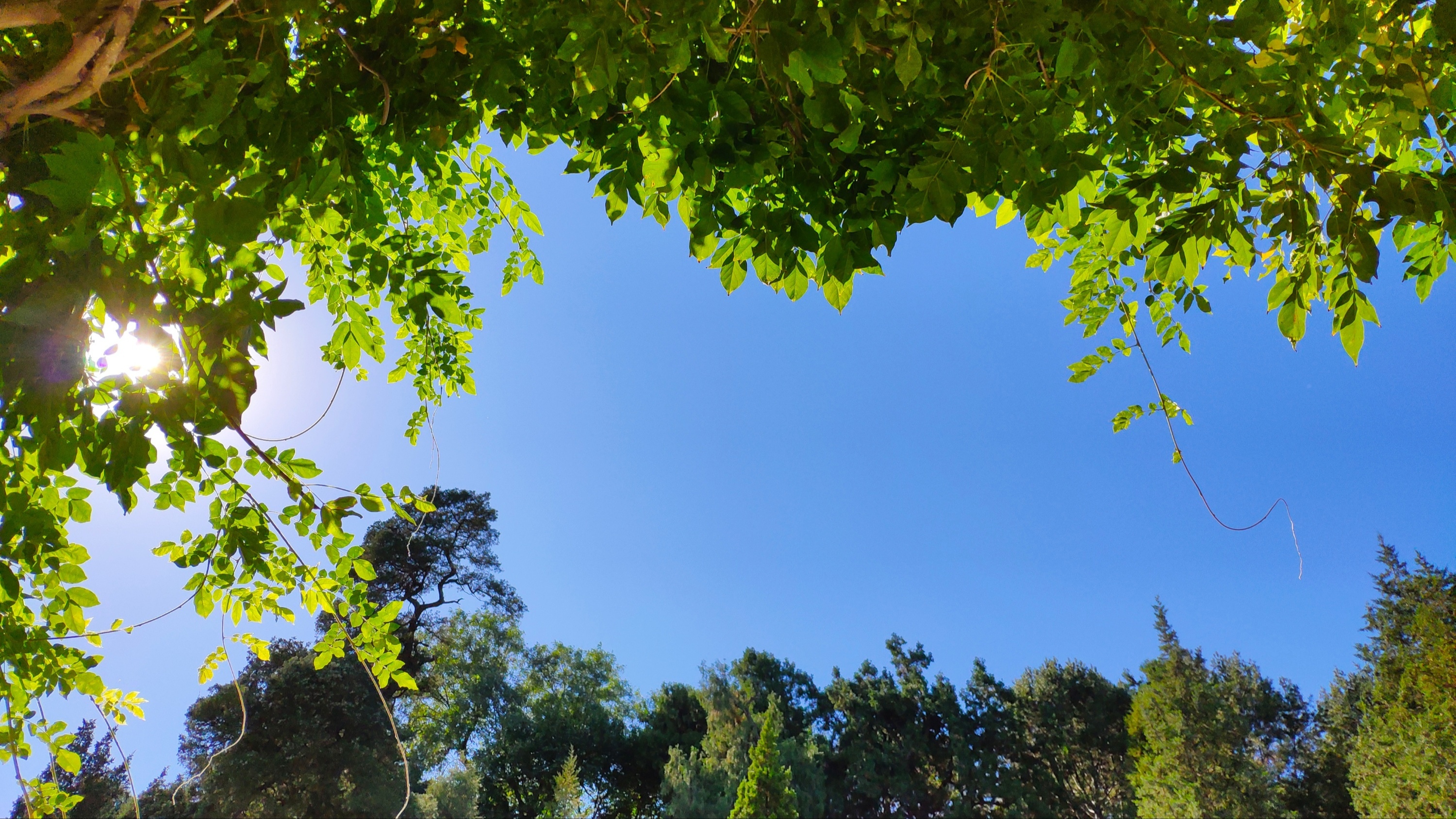 世界气象组织确认2025年进入有记录以来最热年份前三