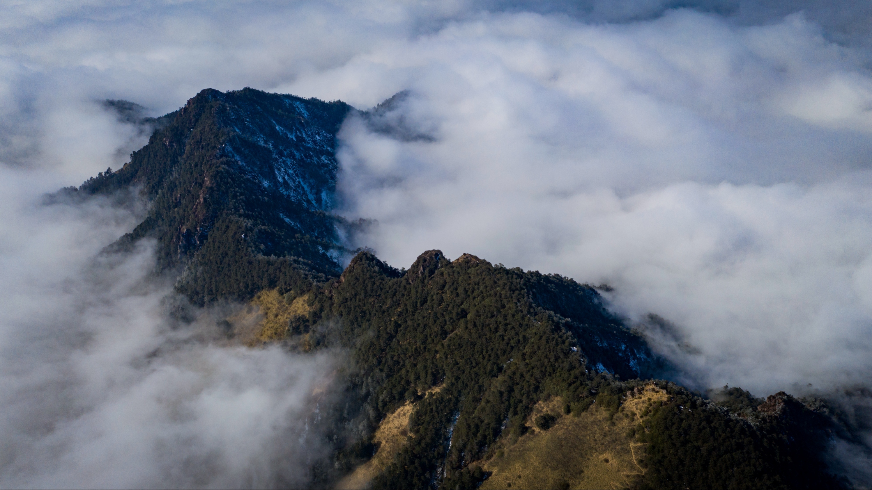 2025年我国完成国土绿化任务1.27亿亩