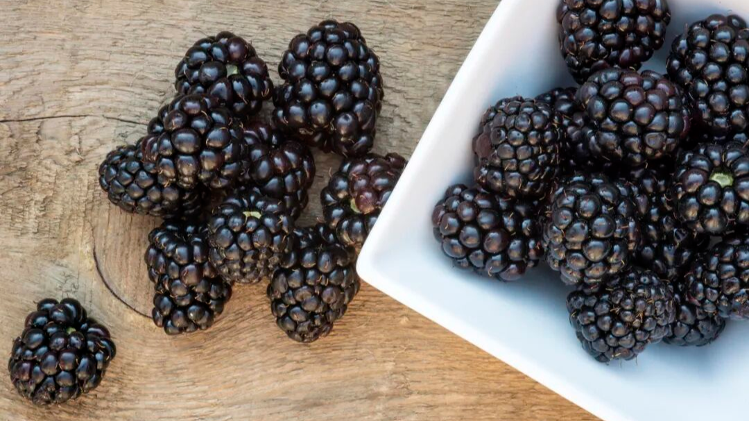 “第三代水果”出来了 你吃过吗？有何特别之处？