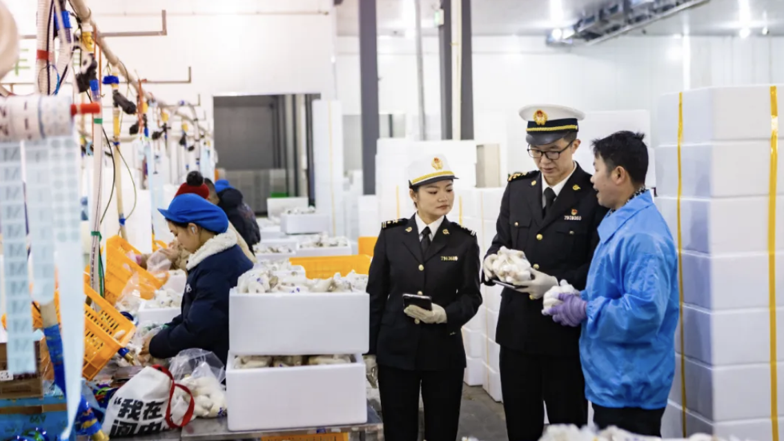 突破8500亿元！2025年成都外贸进出口规模创历史新高