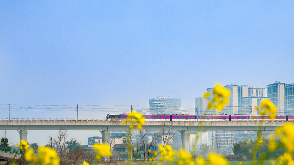 新增764.7公里！2025年城市轨道交通运营数据来了